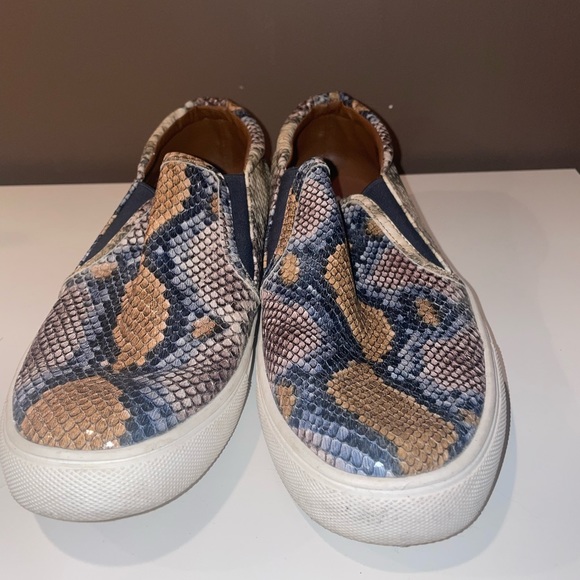 snakeskin steve maddens - Picture 3 of 4